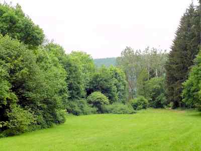 Waldwiese in Greding im Altmühltal
